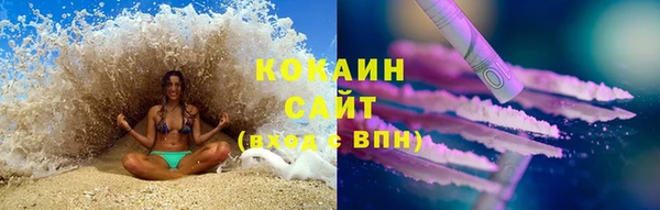 гашик Дмитриев