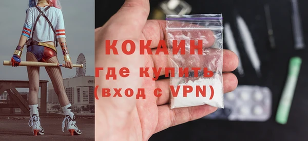 гашик Дмитриев
