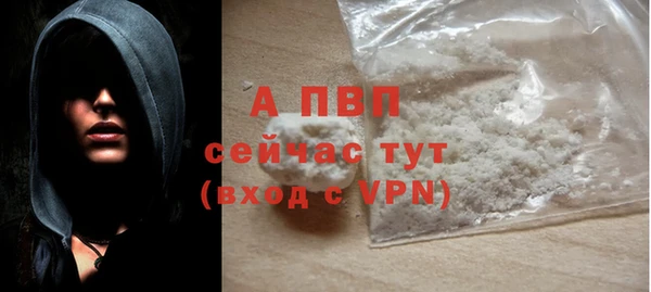 гашик Дмитриев