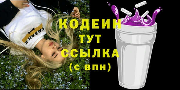 гашик Дмитриев