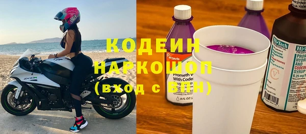 гашик Дмитриев