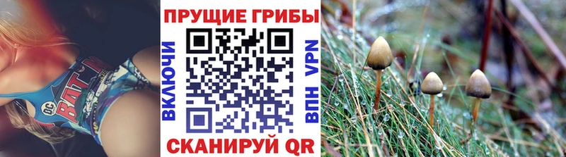 Галлюциногенные грибы ЛСД  Купить закладки  Юрьев-Польский 